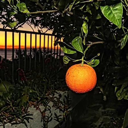 Il Cuoco Pescatore, Ittiturismo Lecardonaie Du Pescou Bed & Breakfast
