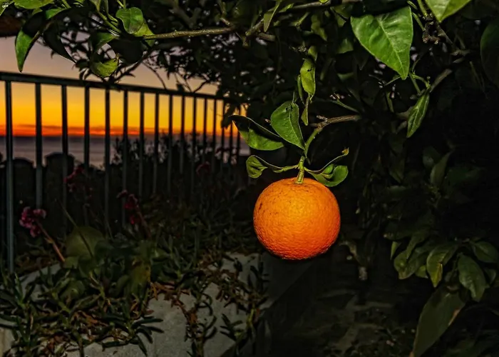 Bed & Breakfast Il Cuoco Pescatore, Ittiturismo Lecardonaie Du Pescou 3*